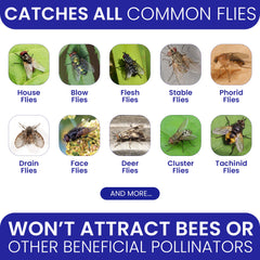 BugBane fly trap patio-catch hangs to help control yard pests near seating areas.