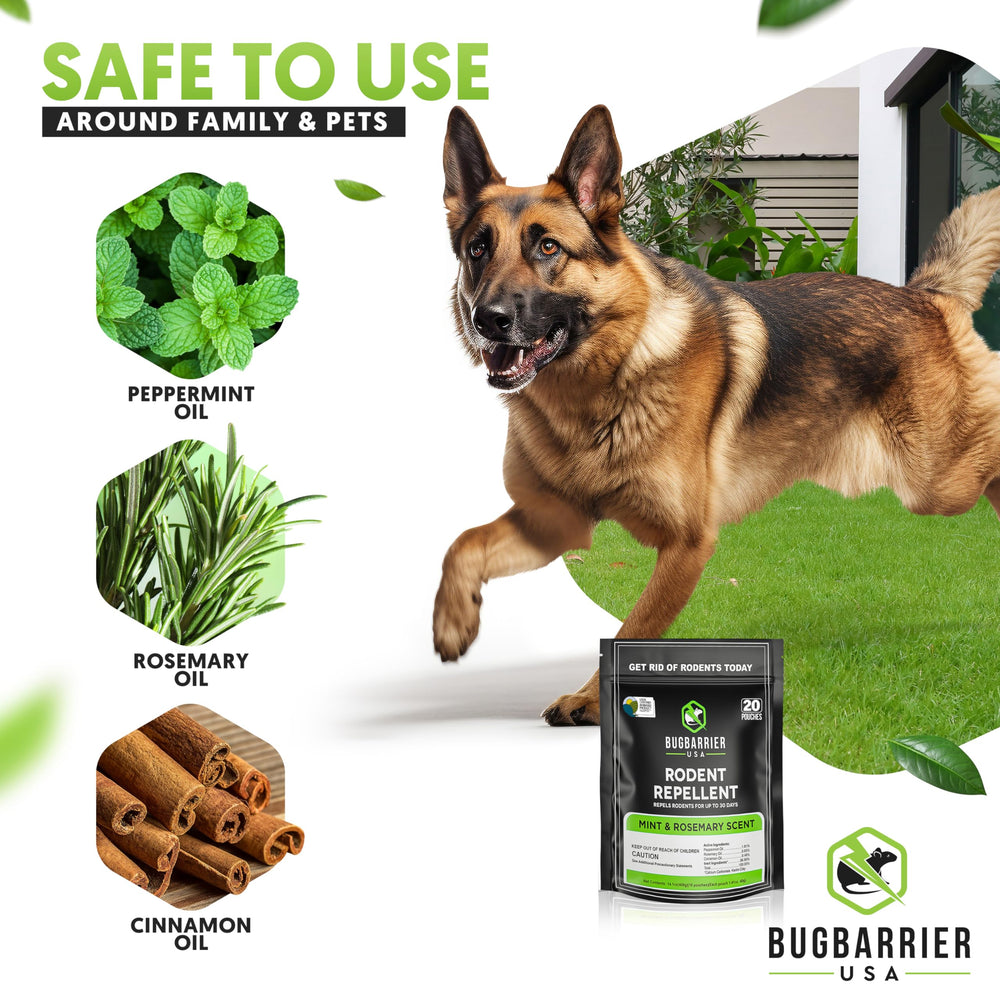 BugBarrier ingredients peppermint rosemary cinnamon oils provide natural deterrence in interiors.