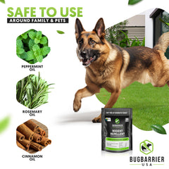 BugBarrier ingredients peppermint rosemary cinnamon oils provide natural deterrence in interiors.