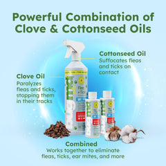 BugMD flea-tick concentrate pour demonstrating easy dilution for spray