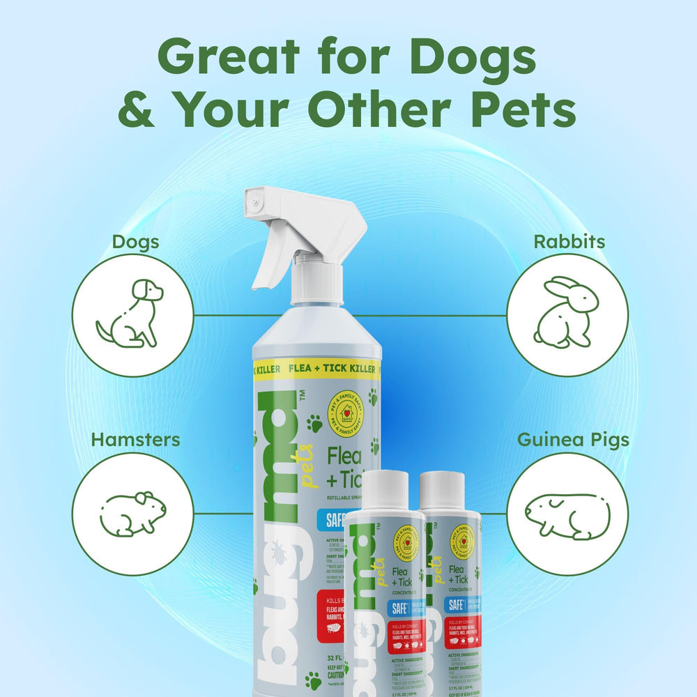 BugMD outdoor indoor use visual for versatile flea spray at home