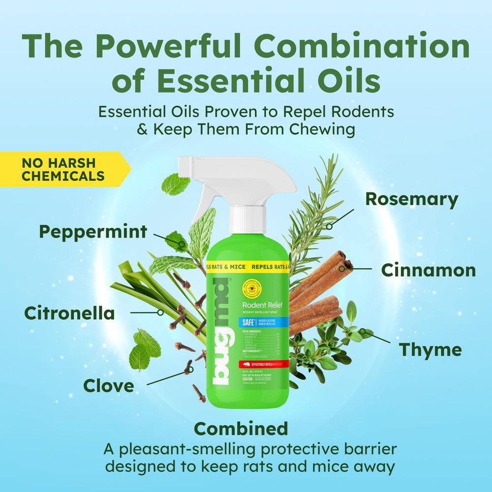 BugMD Peppermint Oil Spray mist demonstrates even coverage for deterrence.