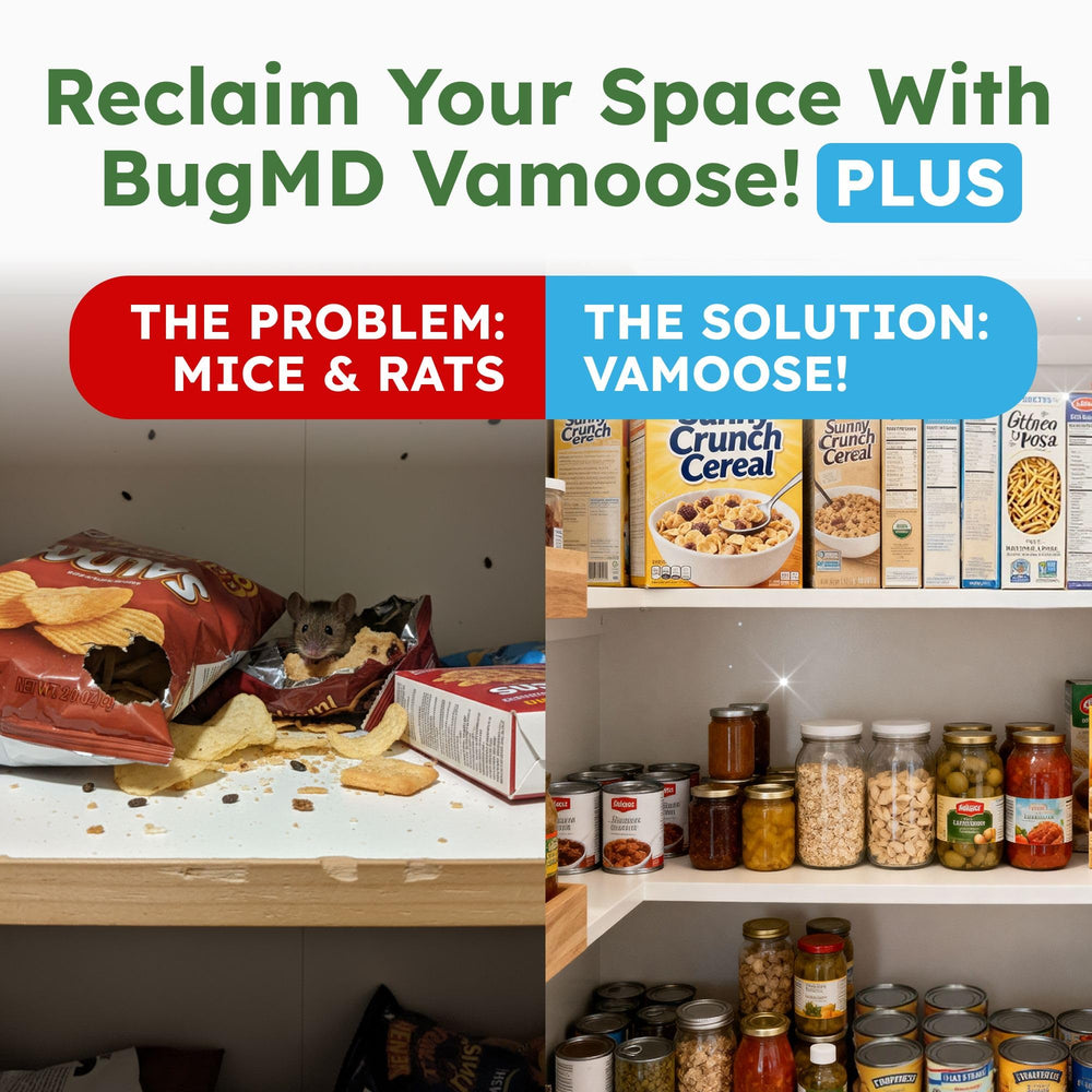 BugMD Vamoose Plus peppermint ingredients label highlights essential oils.