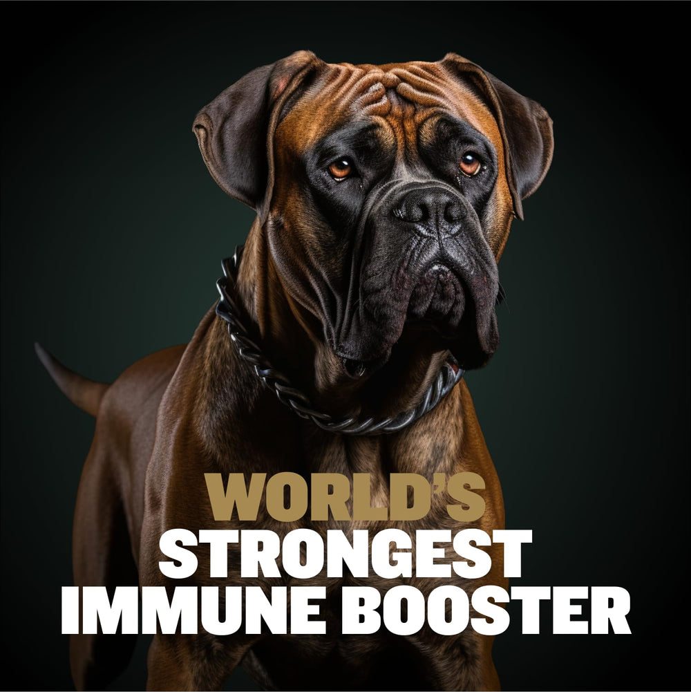 Bully Max Muscle Gain chews for puppies to adults showing growth support