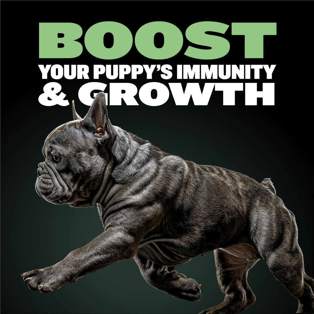 Bully Max Puppy Food close-up highlights 24% protein and 14% fat.