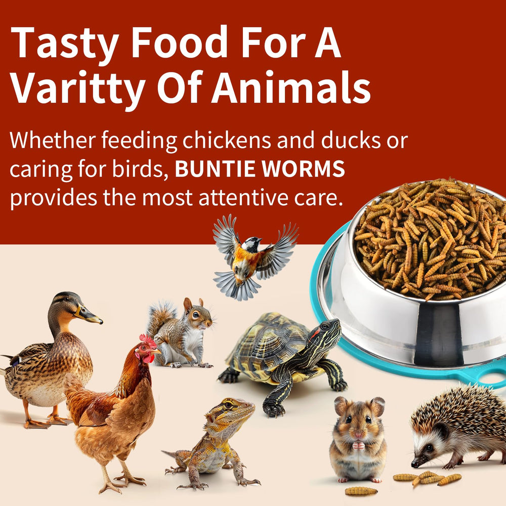 BUNTIE WORMS backyard birds enjoying larvae demonstrates versatile feeding for multiple species.