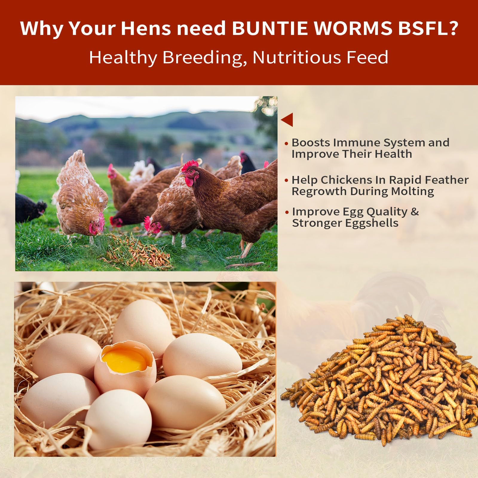 BUNTIE WORMS larvae closeup shows natural texture and protein rich content.