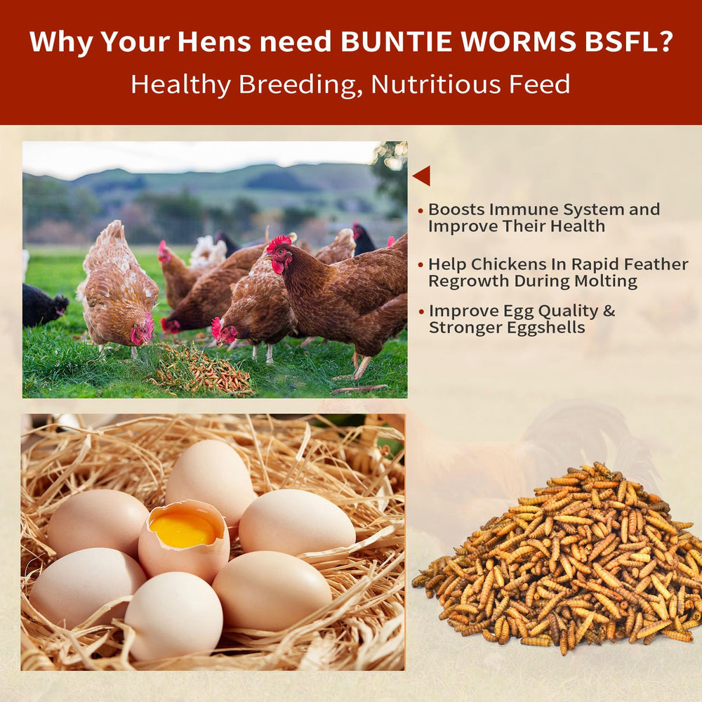 BUNTIE WORMS larvae closeup shows natural texture and protein rich content.
