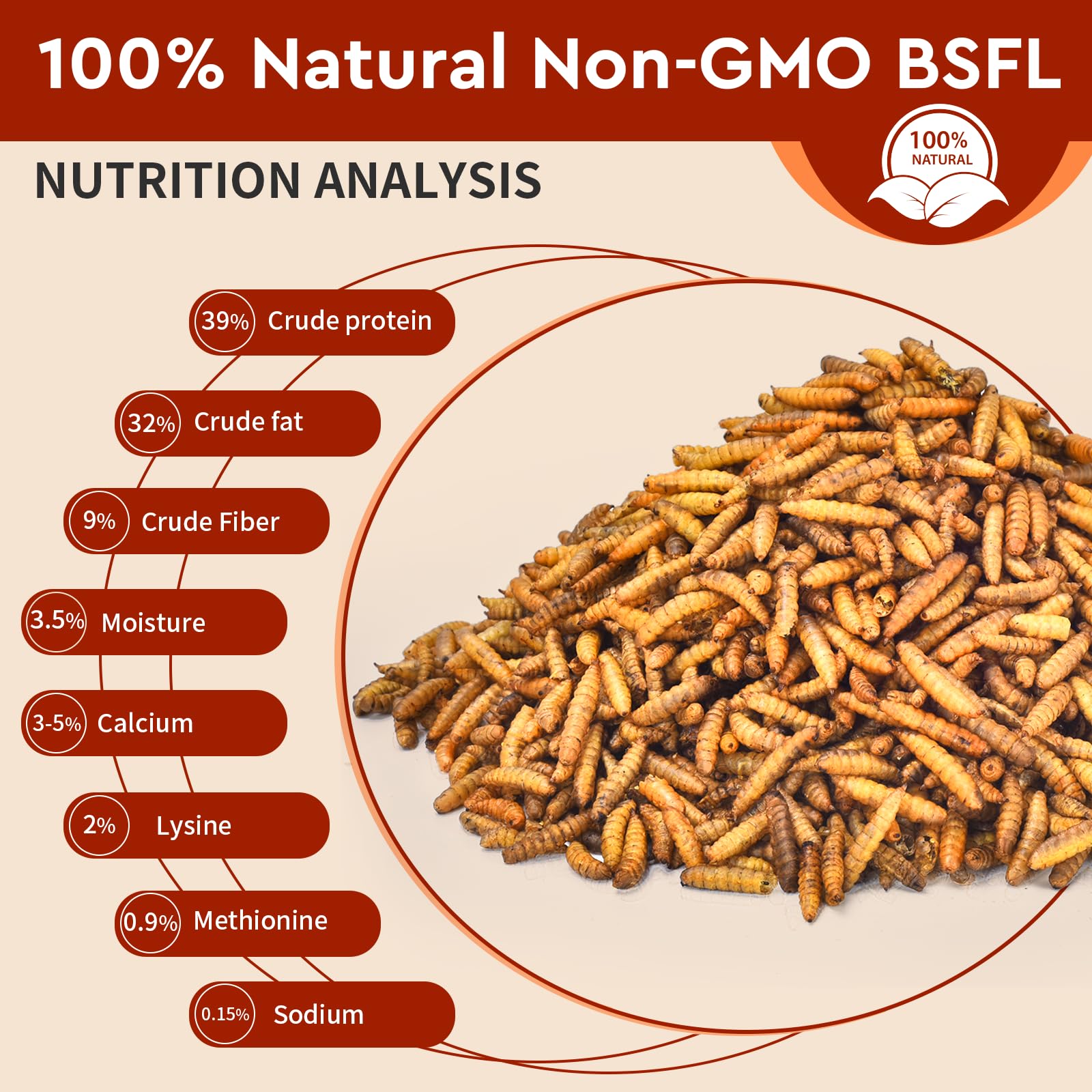 BUNTIE WORMS chickens enjoy BSF larvae for tasty nutrition and daily energy.
