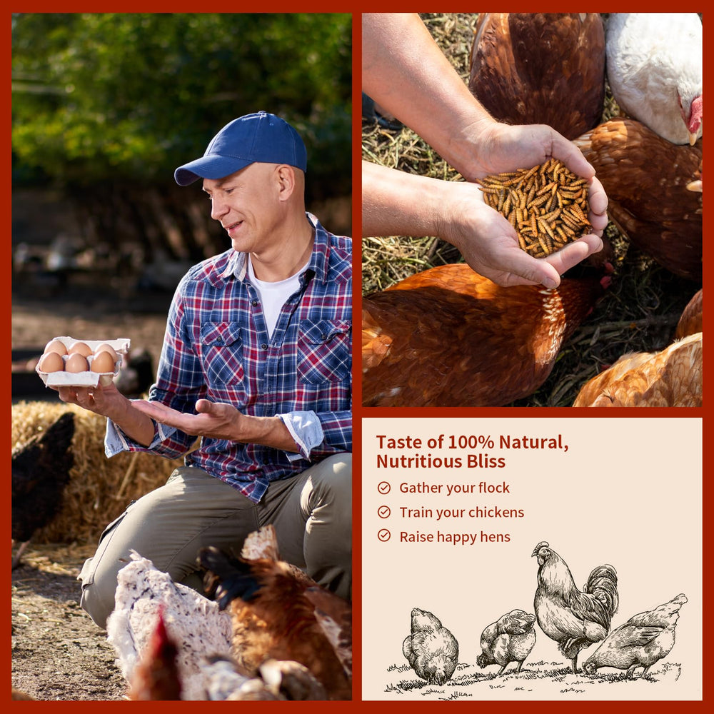 BUNTIE WORMS storage in a cool dry place preserves freshness and convenience.