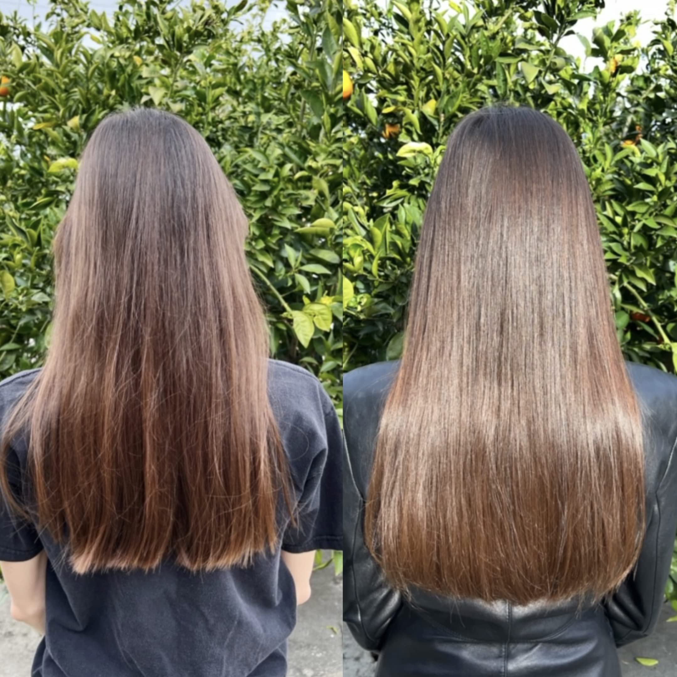 Overnight conditioning scene shows deeper nourishment with Bur Bur Growing Season oil