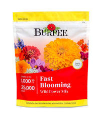 Burpee fast bloom seed mix bag—easy sowing for a vibrant home garden