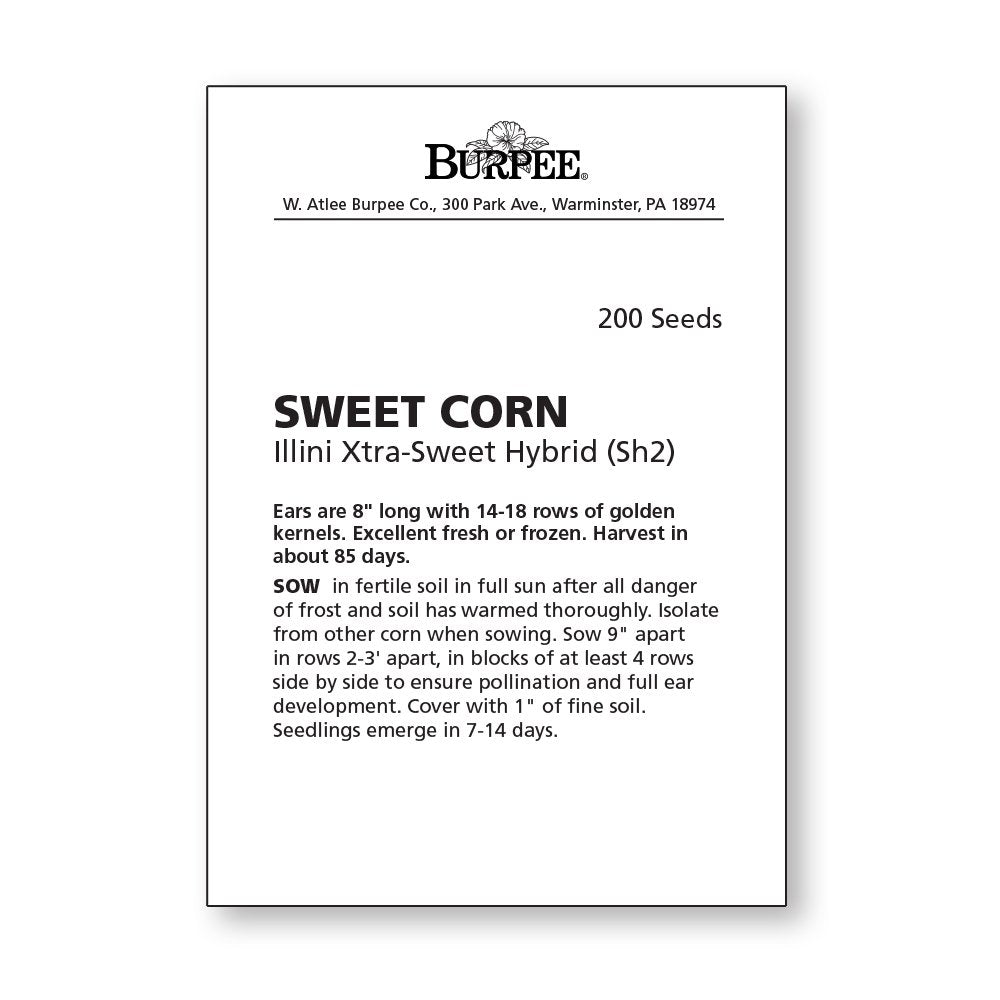 Burpee Illini Xtra Sweet seed packet ready for spring sowing and reliable germination.