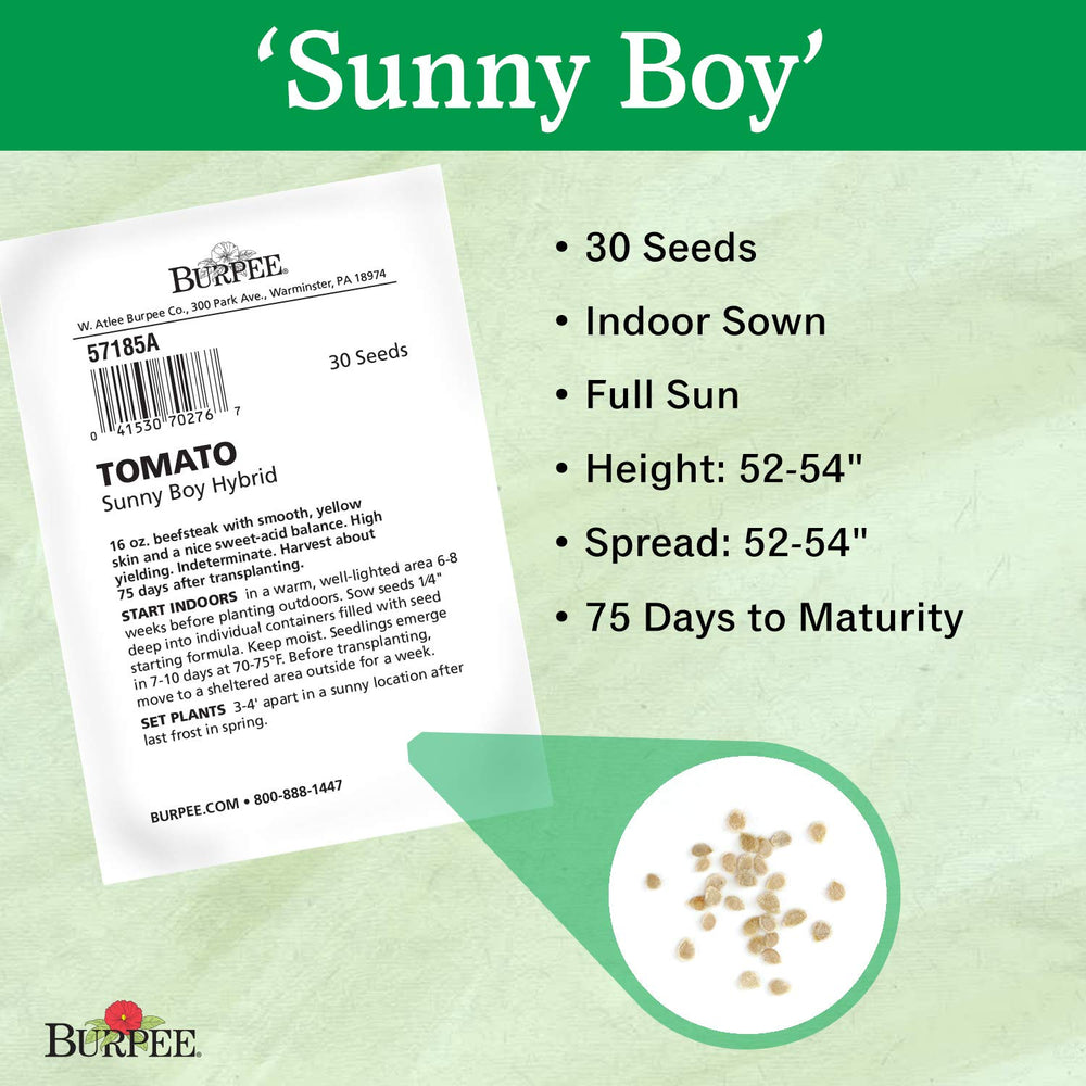Burpee Non-GMO seeds 30-pack for home gardening.