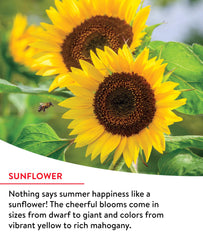 Burpee pollinator-friendly wildflowers inviting bees and butterflies to your garden