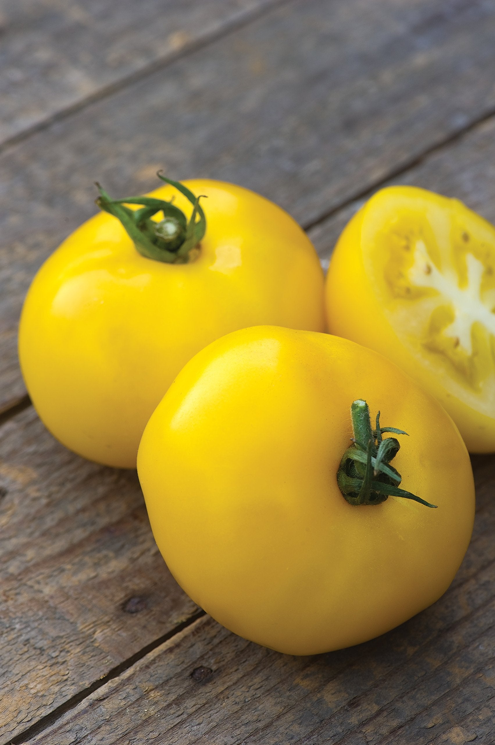 Close-up of 16-ounce yellow Burpee Sunny Boy tomatoes ready for slicing.