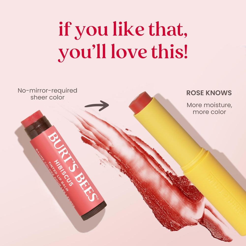 Burt's Bees 24-hour moisture for dry lips on the go.