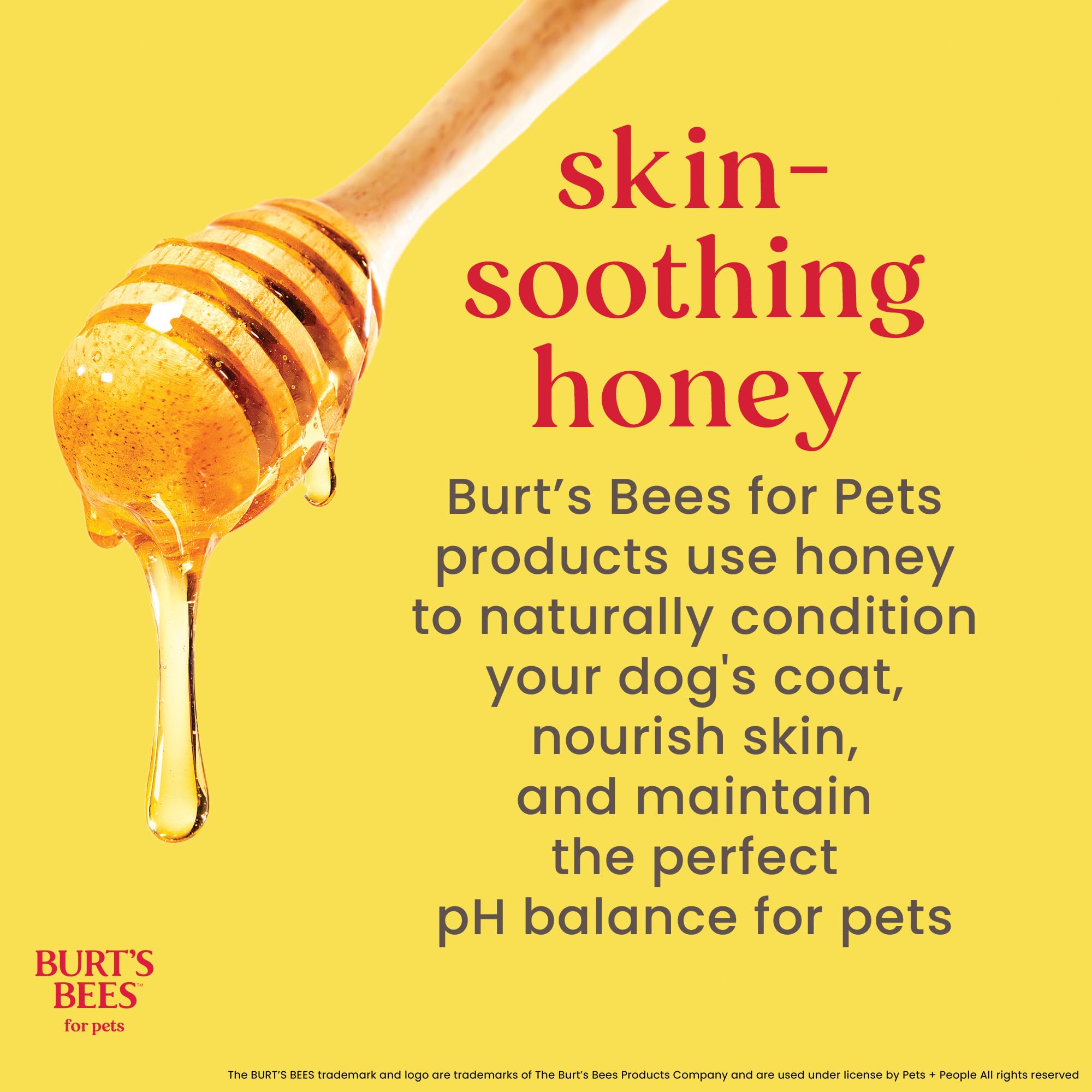 BURT'S BEES FOR PETS dog coat after wash looks soft and manageable.