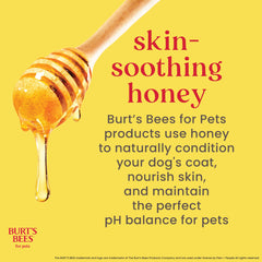 BURT'S BEES FOR PETS honey-conditioning label highlights gentle skin conditioning for dogs.