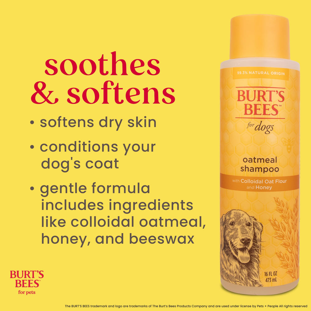 Burt's Bees for Pets Oatmeal Dog Shampoo foam shows low-lather formula for easy rinse