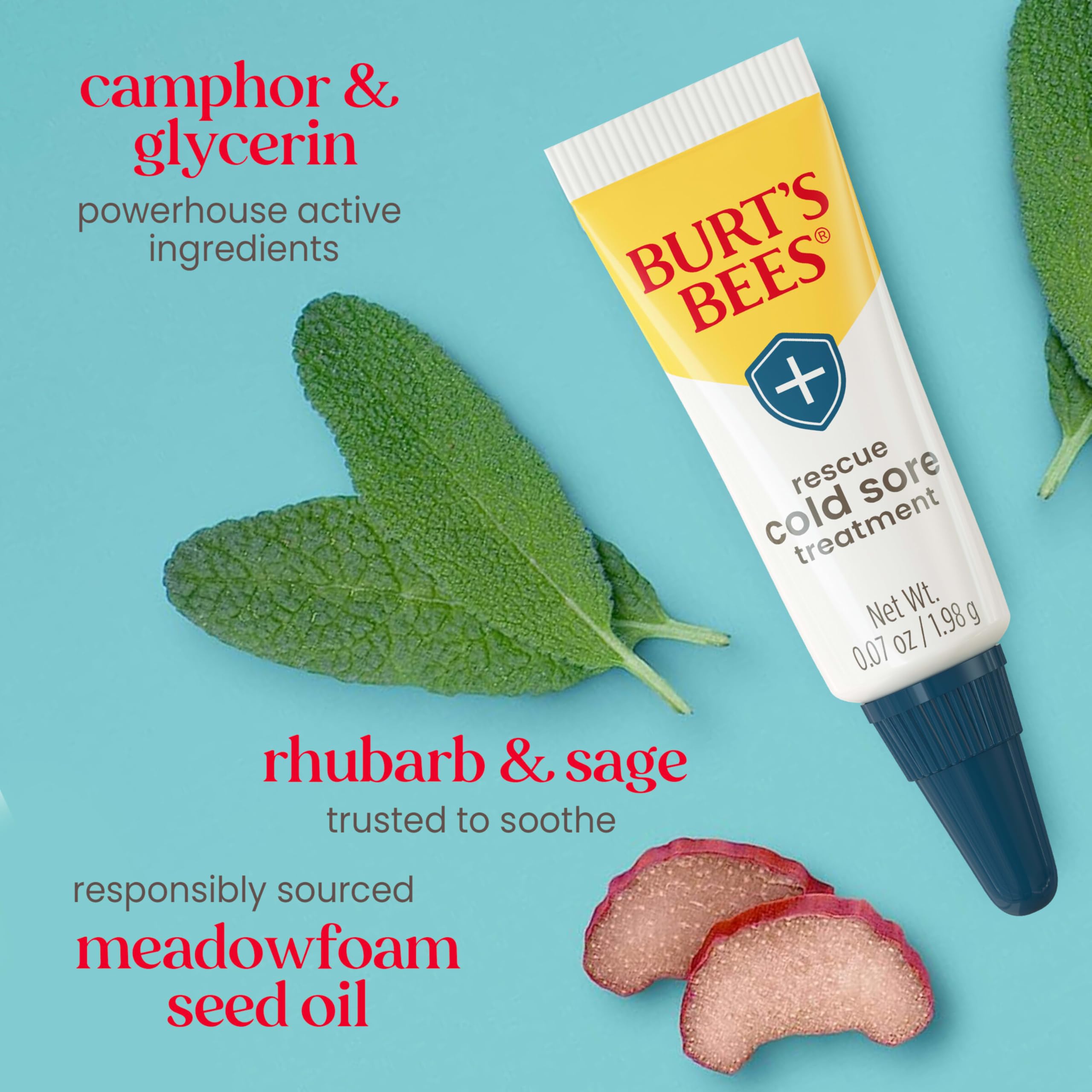 Burt's Bees Medicated Lip Balm tube highlights hydration and soothing protection