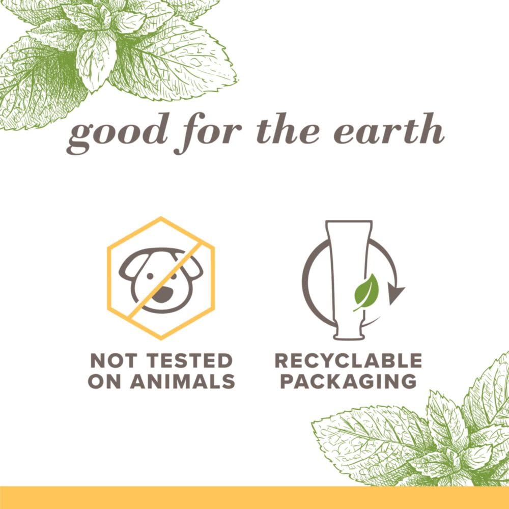 Burt's Bees Purely White Zen Peppermint pack label side highlighting fluoride-free formula