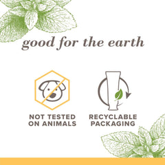 Burt's Bees Purely White Zen Peppermint pack label side highlighting fluoride-free formula