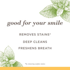 Close-up of Burt's Bees Zen Peppermint tube emphasizing surface stain removal