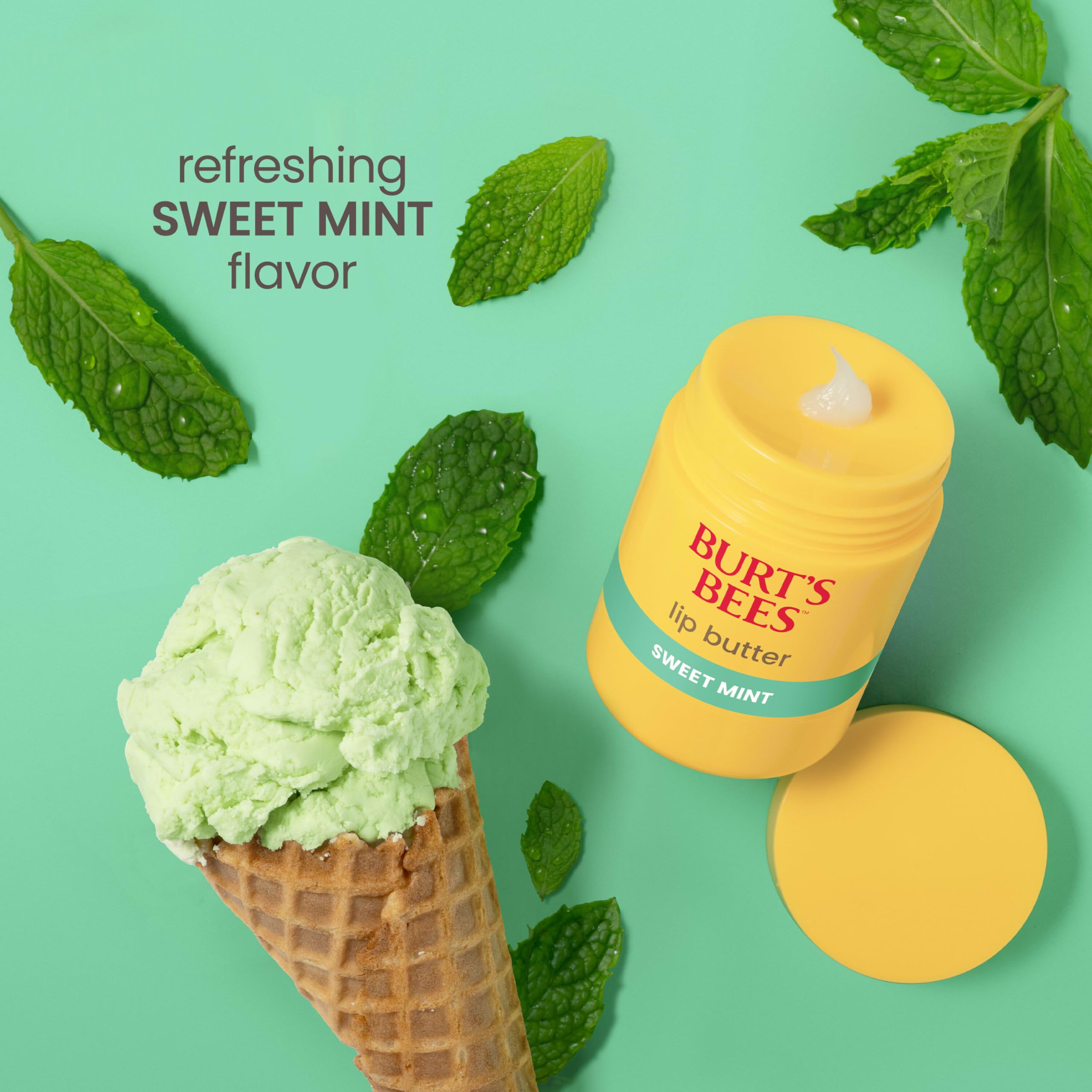 Recyclable carton packaging for Burt's Bees lip butter.