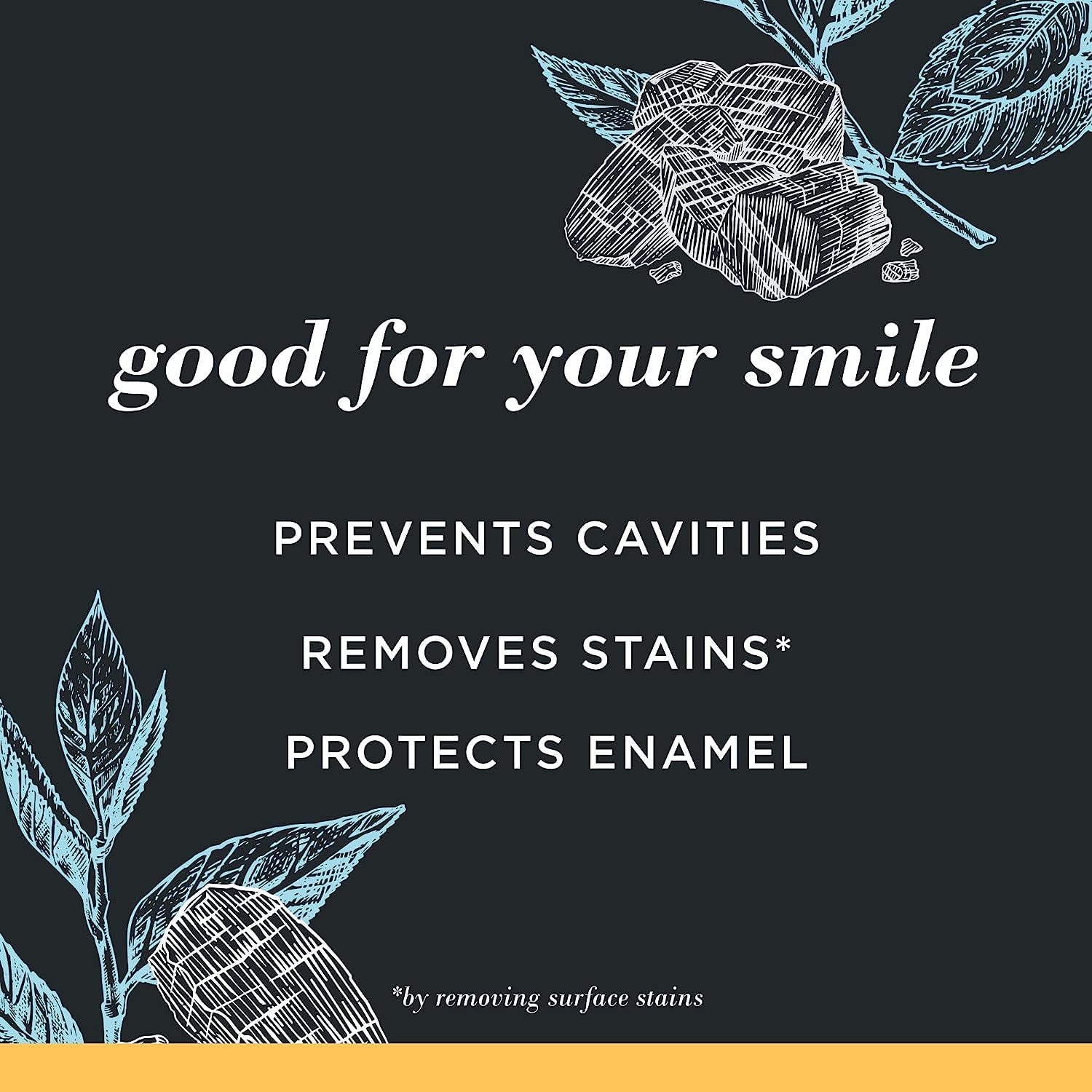 Burts Bees Mountain Mint toothpaste box presents a fresh, clean branding.