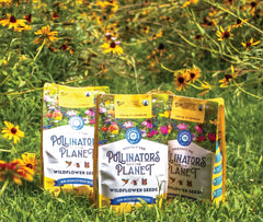 BUZZY pollinator-friendly garden setup with scatterable seeds