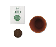BUZZY Seeds packets show poppy, sunflower, daisy, cactus, and forget-me-not seeds