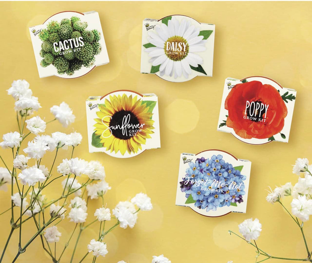 BUZZY Seeds mini gardens make charming wedding favors or gifts
