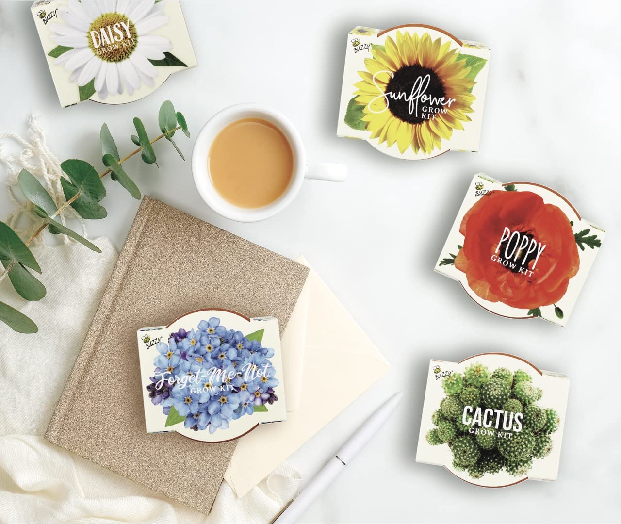 BUZZY Seeds mini terracotta pots in a neat starter kit for beginners