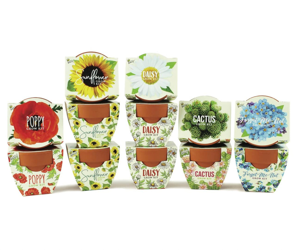 BUZZY Seeds mini terracotta pots set on a sunny window for indoor gardening