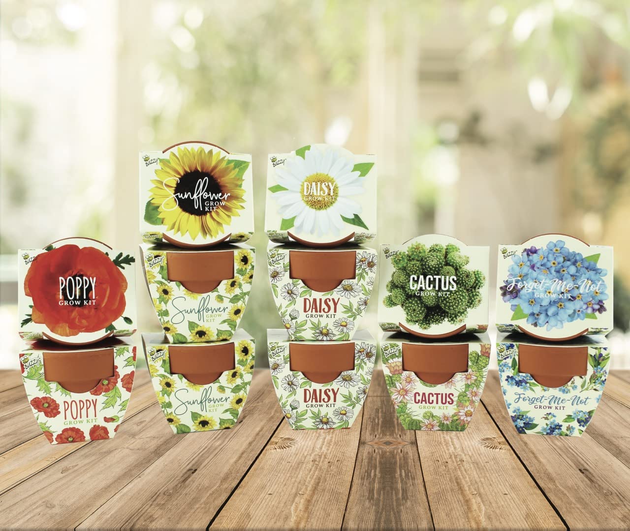 BUZZY Seeds mini pots in action with tiny seedlings sprouting