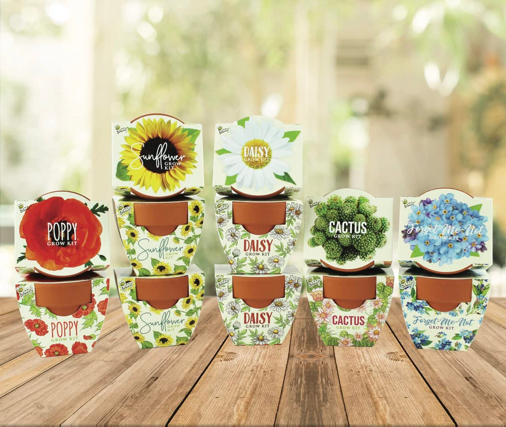 BUZZY Seeds mini pots in action with tiny seedlings sprouting