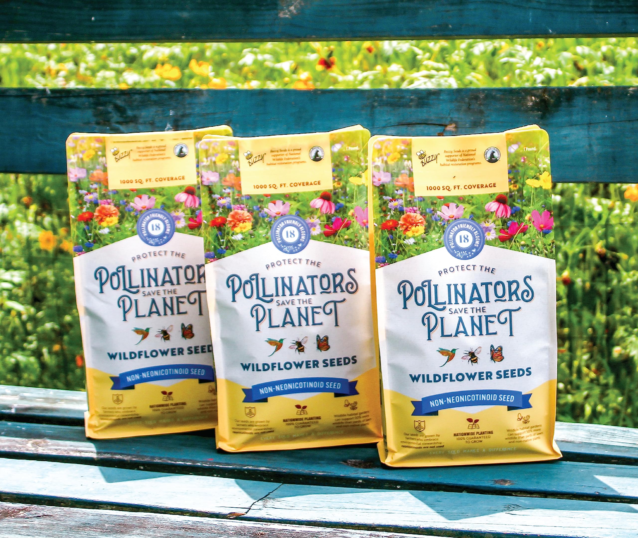 BUZZY wildflower meadow developing toward 1,000 sq ft of color