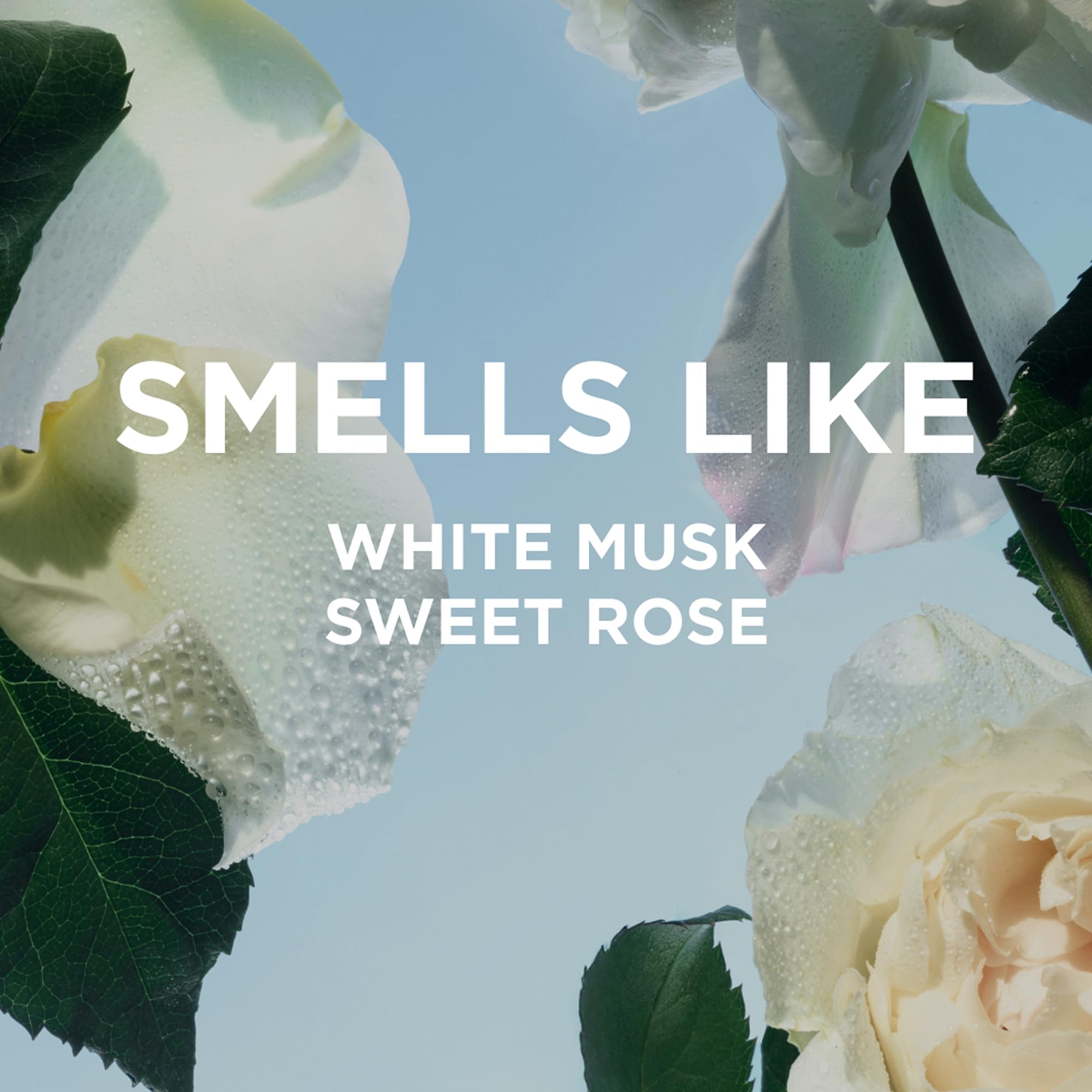 Close-up of Rosie travel perfume spritz for daily freshness