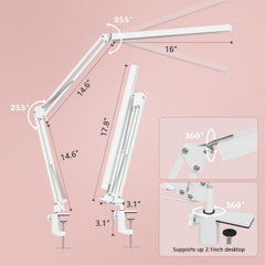 BZBRLZ Desk Lamp dimming control allows tailored brightness for study.