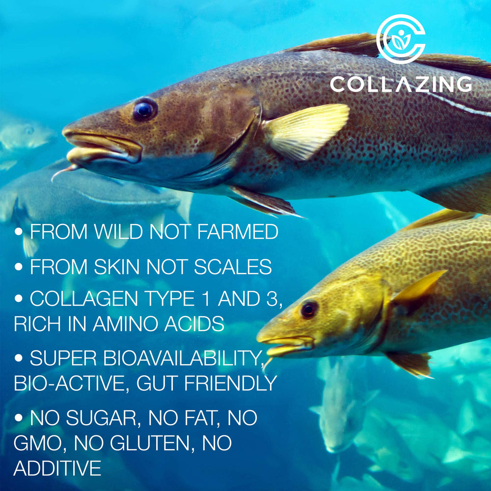 C COLLAZING amino acid profile highlights glycine, proline, hydroxyproline