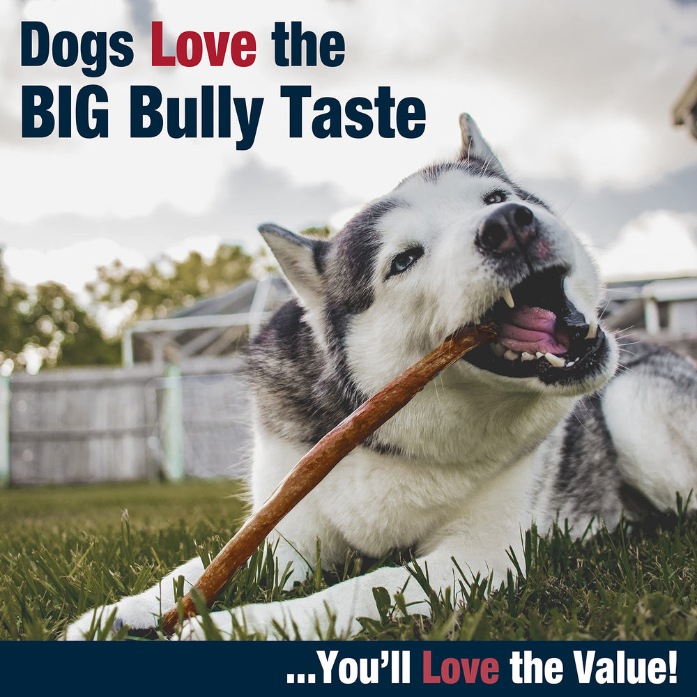 Cadet collagen-rich chews support dental cleaning as dogs chew.