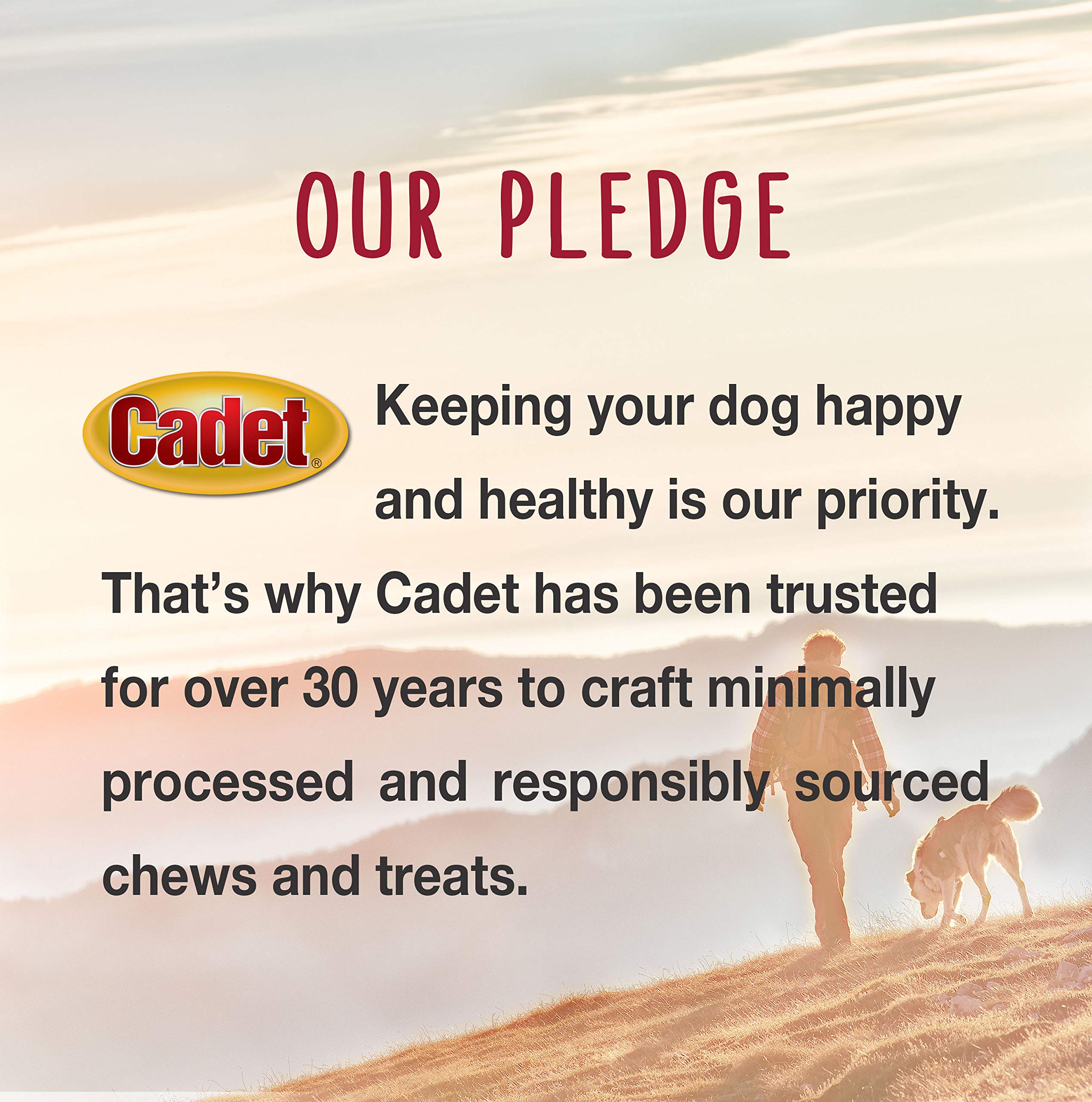 Cadet cheese-flavored filling on shin bone for dual flavor chew.