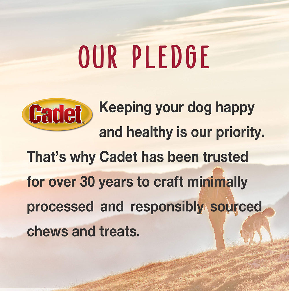 Cadet cheese-flavored filling on shin bone for dual flavor chew.