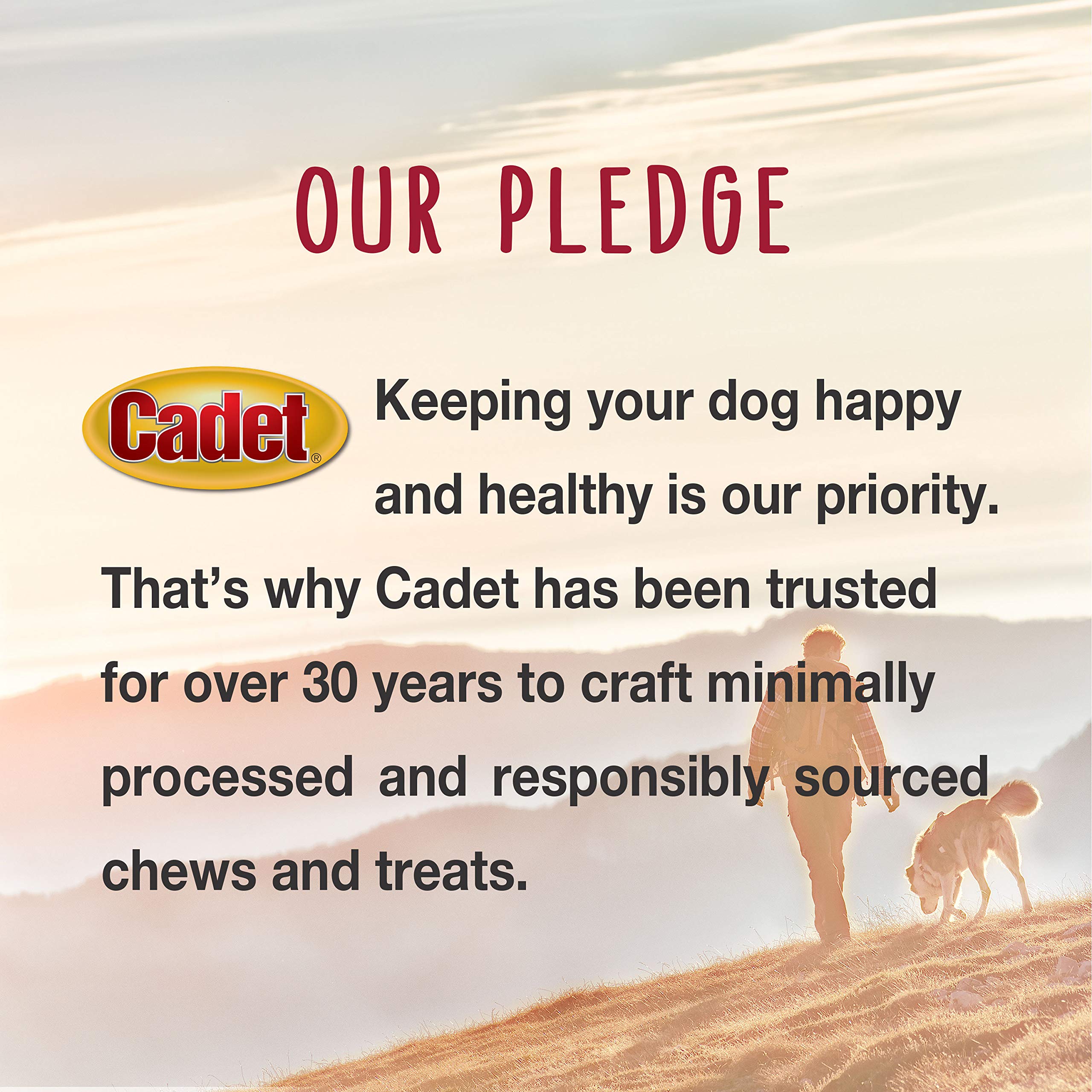 Eight 10-inch chews per pack provide ample chewing time for large dogs.