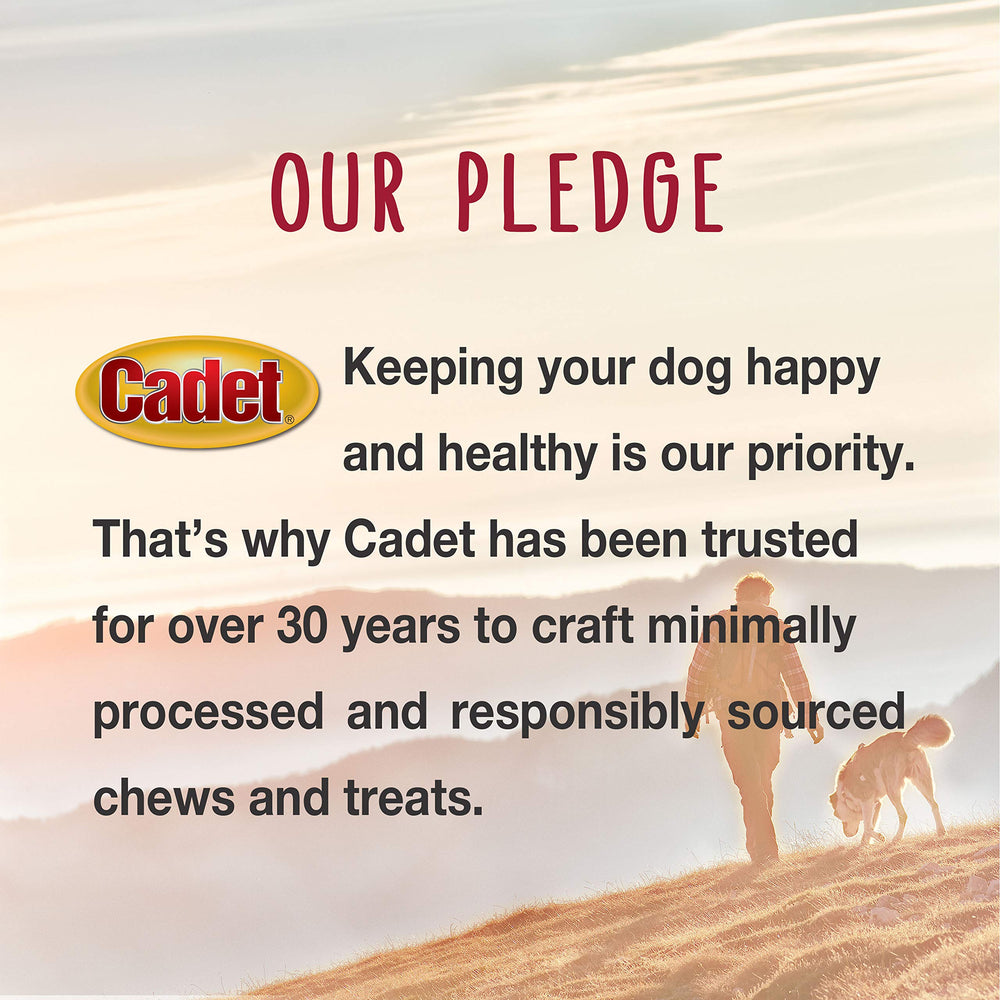 Eight 10-inch chews per pack provide ample chewing time for large dogs.