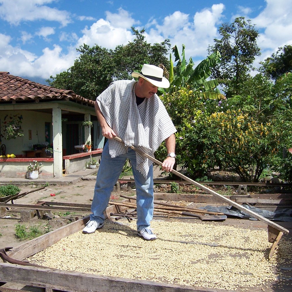 Cafe Don Pablo Subtle Earth Decaf medium-dark roast showing deep flavor and full body.