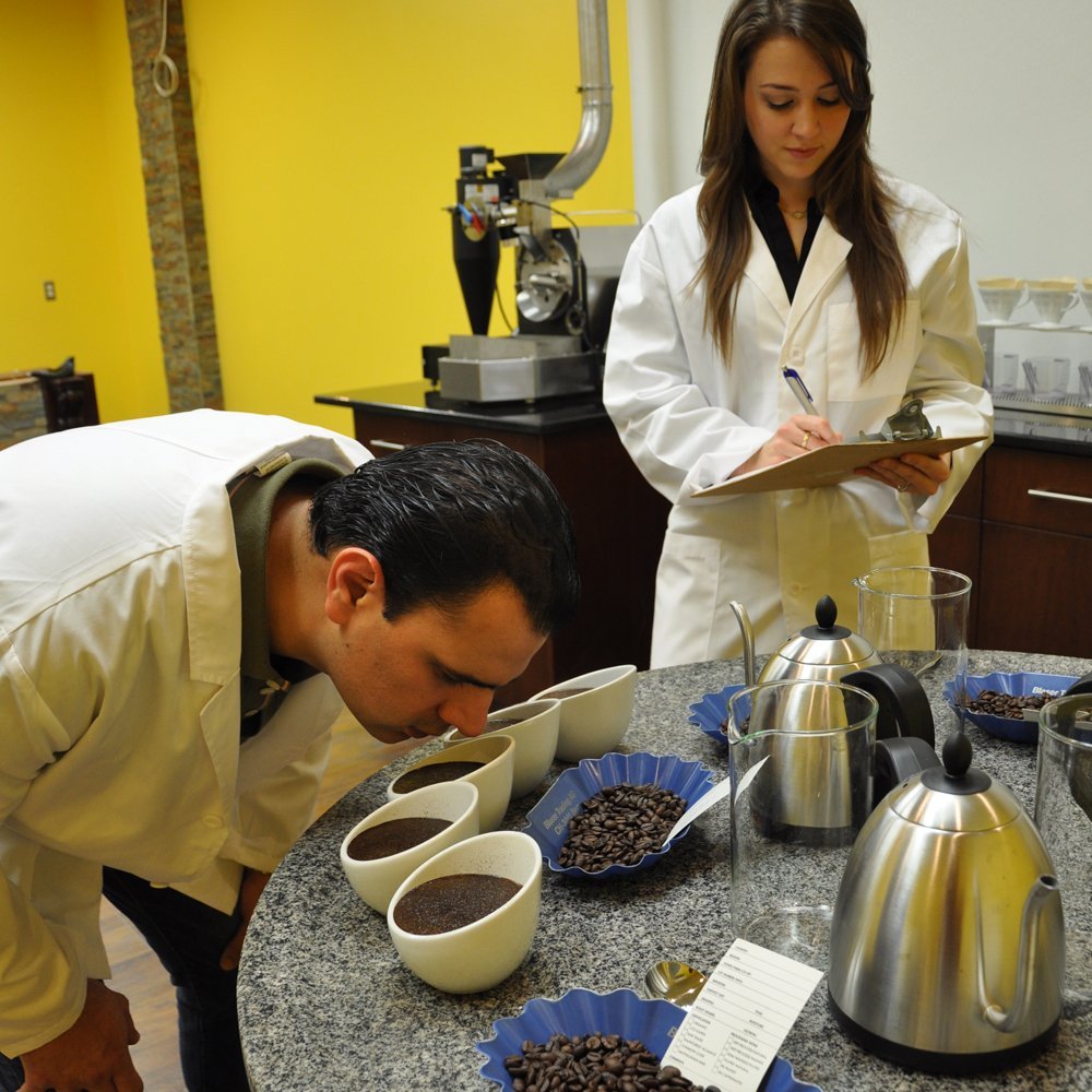 Origin Honduras highlighted on Cafe Don Pablo Subtle Earth Decaf packaging for traceable flavor.