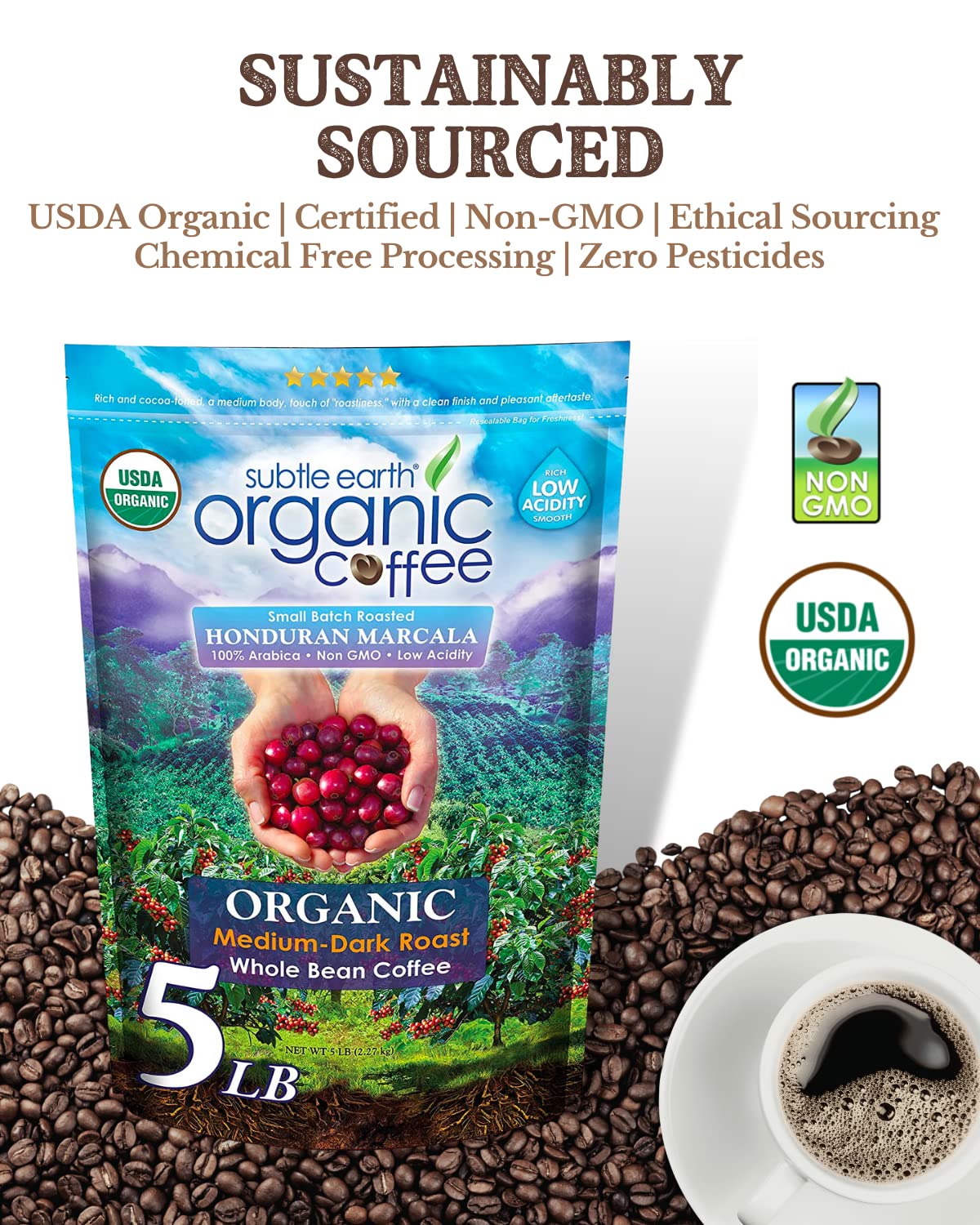 Cafe Don Pablo Subtle Earth pour-over captures balanced flavor