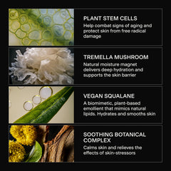 Caldera + Lab The Base Layer plant stem cell ingredients support skin vitality.
